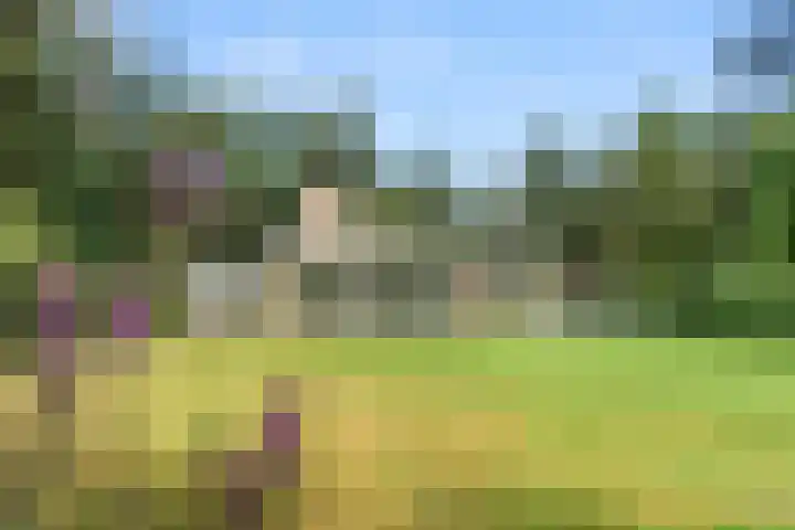 Moftbos 8 Bennekom thumbnail 23