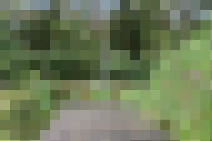 Moftbos 8 Bennekom thumbnail 25