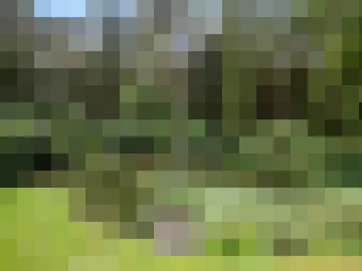 Moftbos 8 Bennekom thumbnail 26