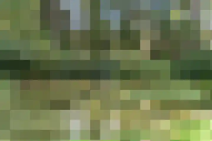 Moftbos 8 Bennekom thumbnail 27