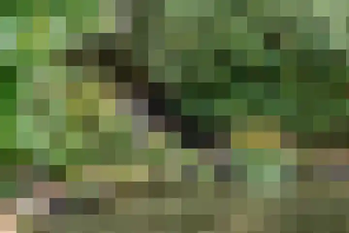 Moftbos 8 Bennekom thumbnail 28