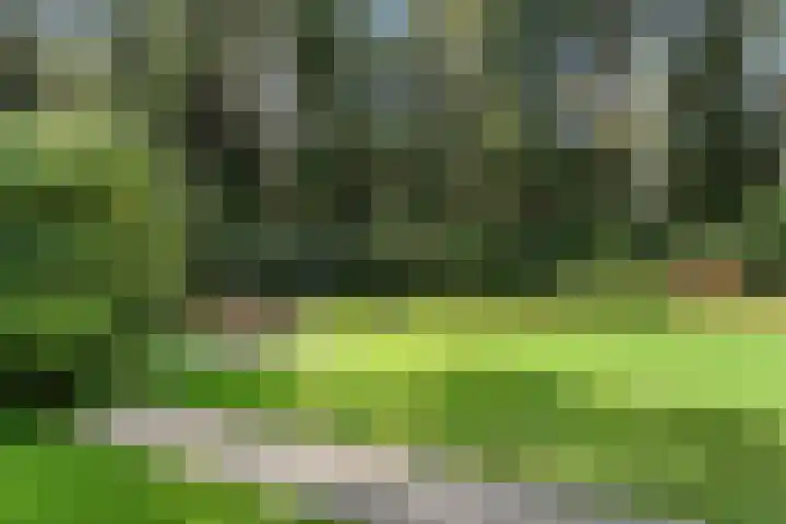 Moftbos 8 Bennekom thumbnail 30