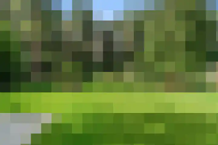 Moftbos 8 Bennekom thumbnail 31
