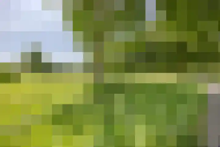 Moftbos 8 Bennekom thumbnail 32