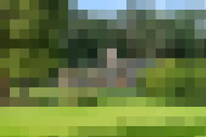 Moftbos 8 Bennekom thumbnail 32