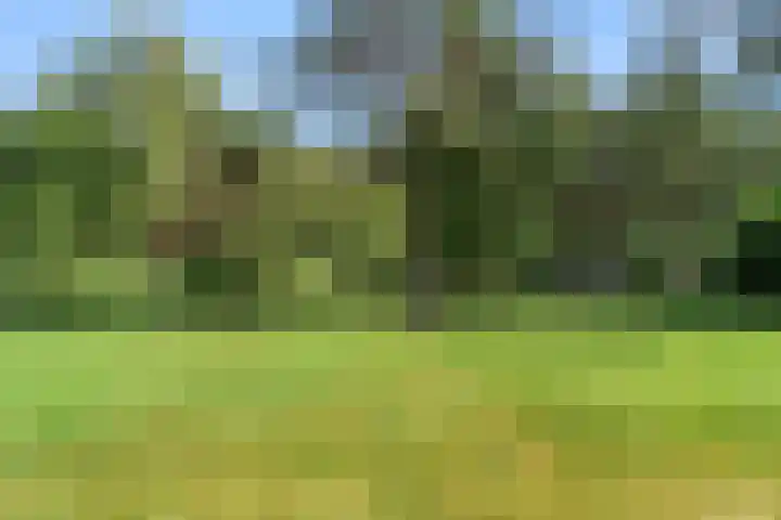Moftbos 8 Bennekom thumbnail 34