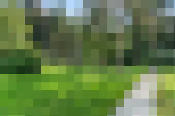 Moftbos 8 Bennekom thumbnail 35