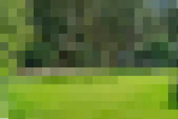 Moftbos 8 Bennekom thumbnail 36