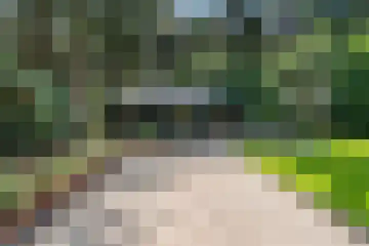 Moftbos 8 Bennekom thumbnail 37
