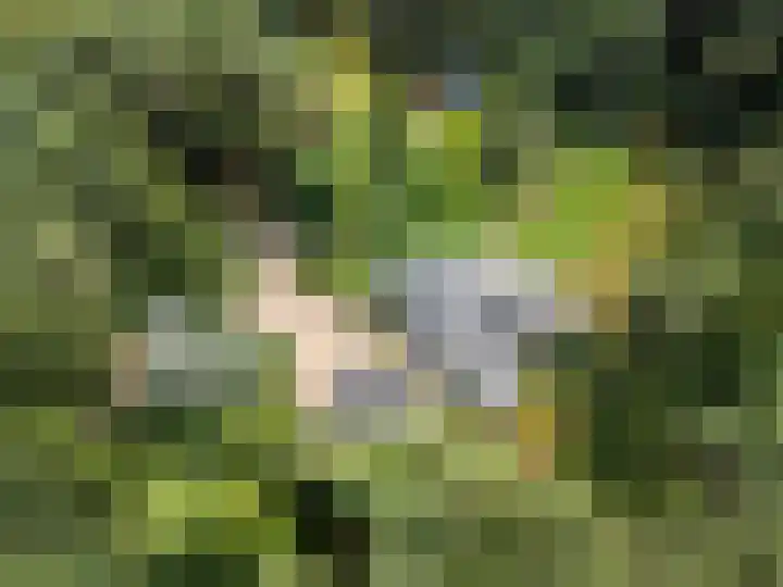 Moftbos 8 Bennekom thumbnail 39