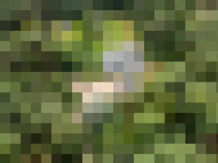 Moftbos 8 Bennekom thumbnail 40