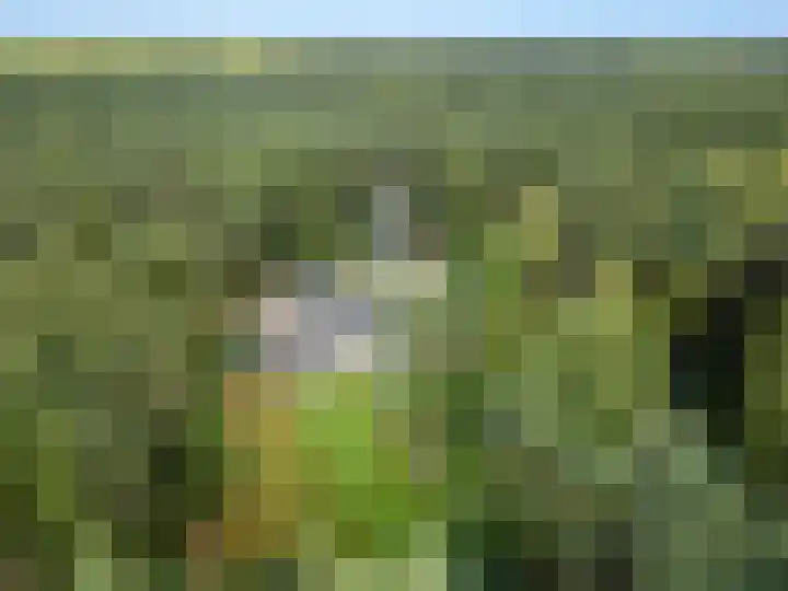 Moftbos 8 Bennekom thumbnail 44