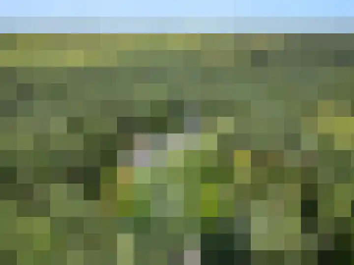Moftbos 8 Bennekom thumbnail 45