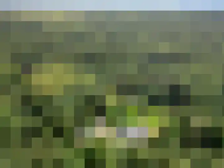 Moftbos 8 Bennekom thumbnail 46