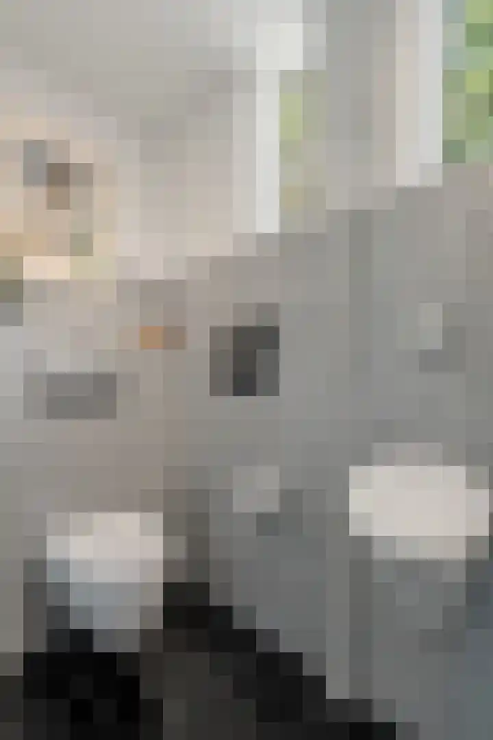 Moftbos 8 Bennekom thumbnail 49