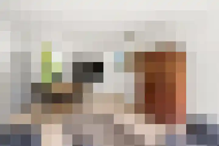 Moftbos 8 Bennekom thumbnail 58