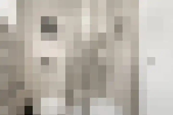 Moftbos 8 Bennekom thumbnail 72