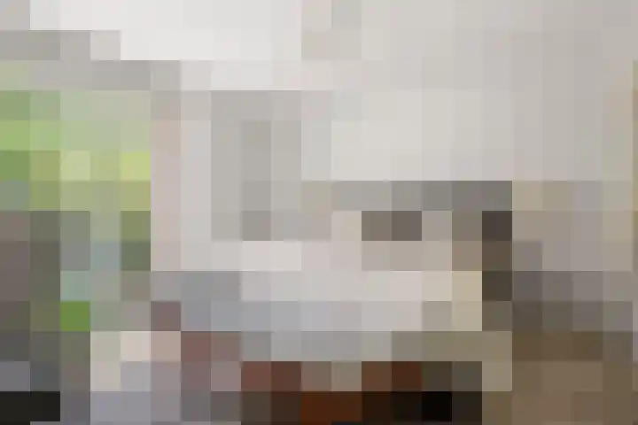 Moftbos 8 Bennekom thumbnail 75