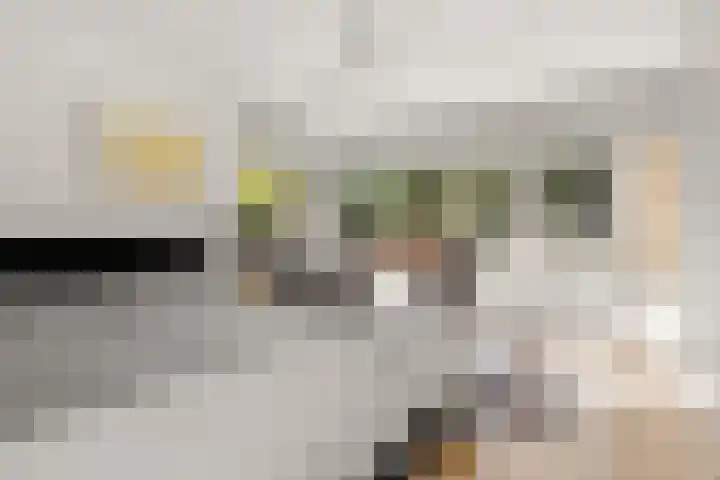Moftbos 8 Bennekom thumbnail 77