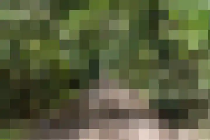 Moftbos 8 Bennekom thumbnail 8