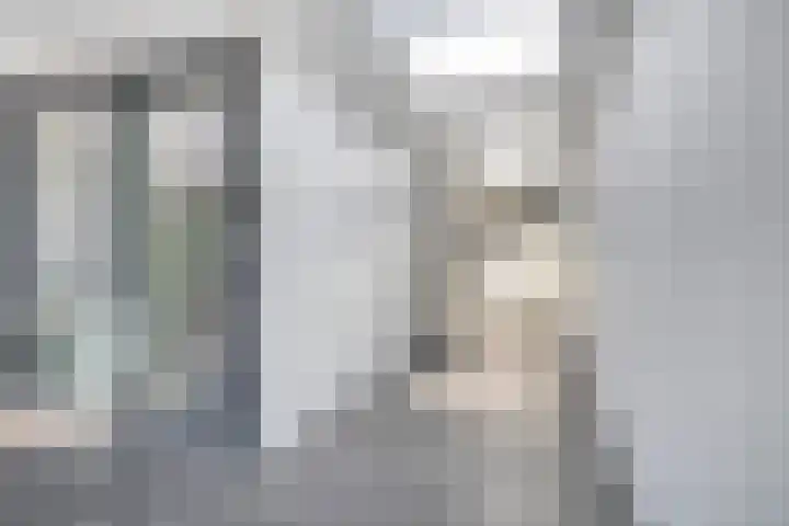 Moggendries 28 Eindhoven thumbnail 22