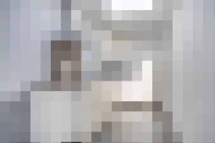 Moggendries 28 Eindhoven thumbnail 24