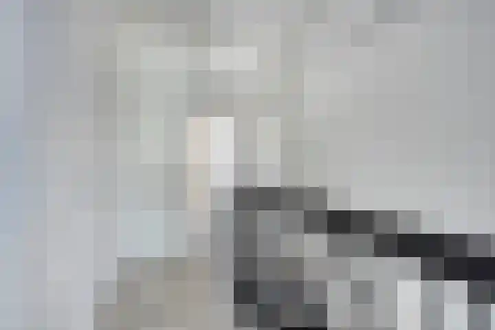 Moggendries 28 Eindhoven thumbnail 25