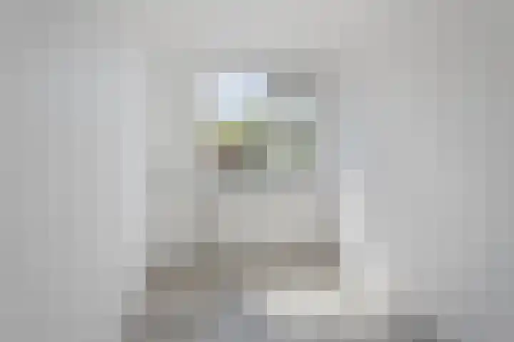 Moggendries 28 Eindhoven thumbnail 32