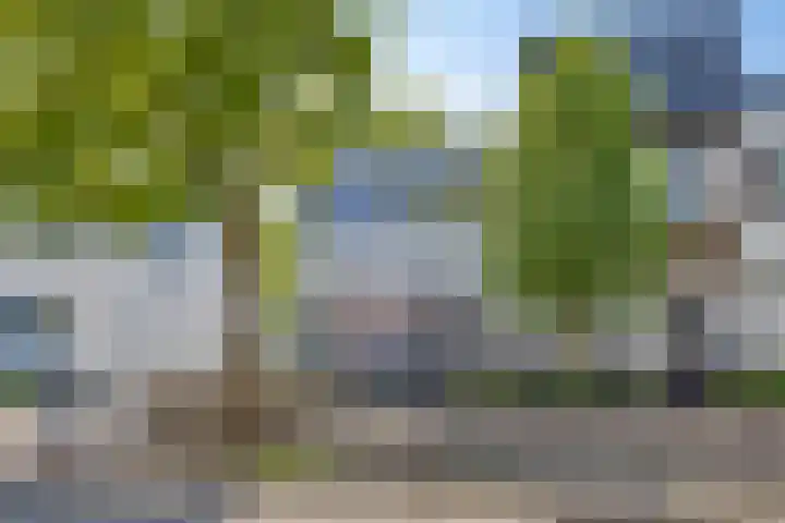 Moggendries 28 Eindhoven thumbnail 8