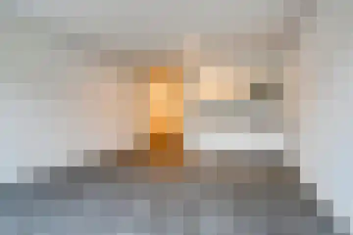 Moggendries 34 Eindhoven thumbnail 10