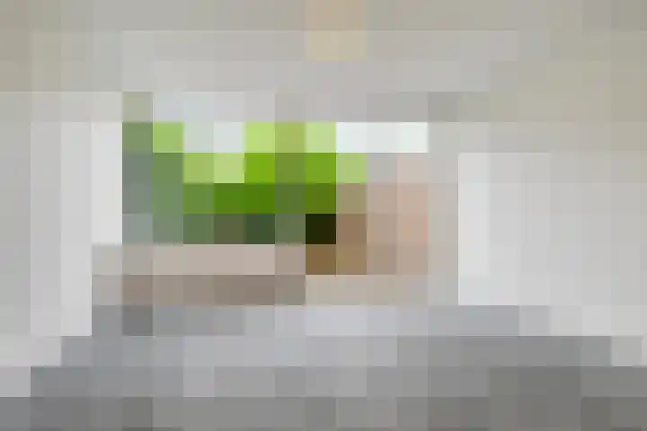 Moggendries 34 Eindhoven thumbnail 13
