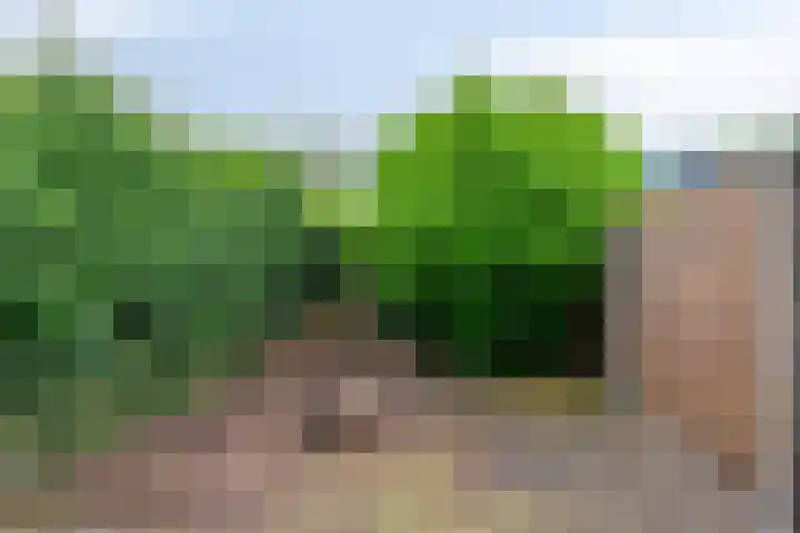 Moggendries 34 Eindhoven thumbnail 22
