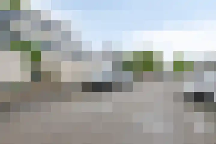 Moggendries 34 Eindhoven thumbnail 27