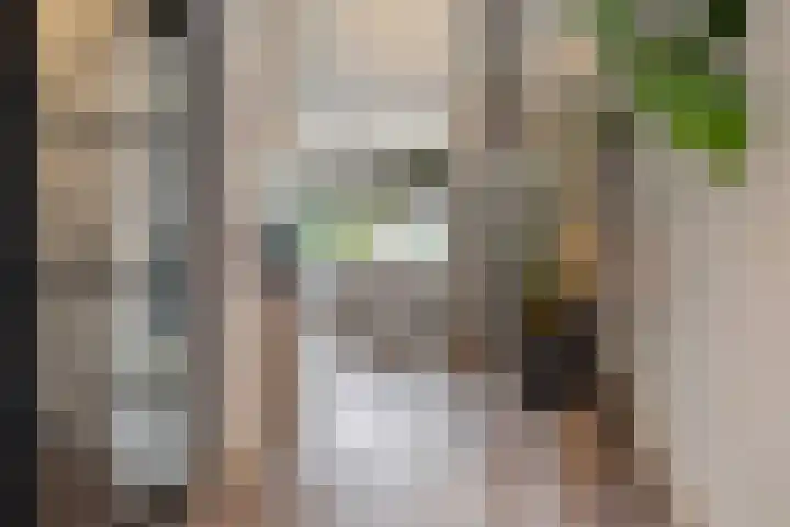Moggendries 7 Eindhoven thumbnail 10