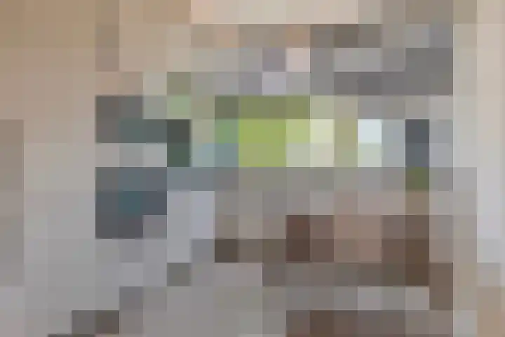 Moggendries 7 Eindhoven thumbnail 12