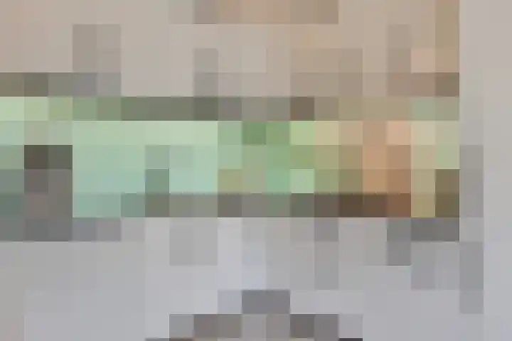 Moggendries 7 Eindhoven thumbnail 13