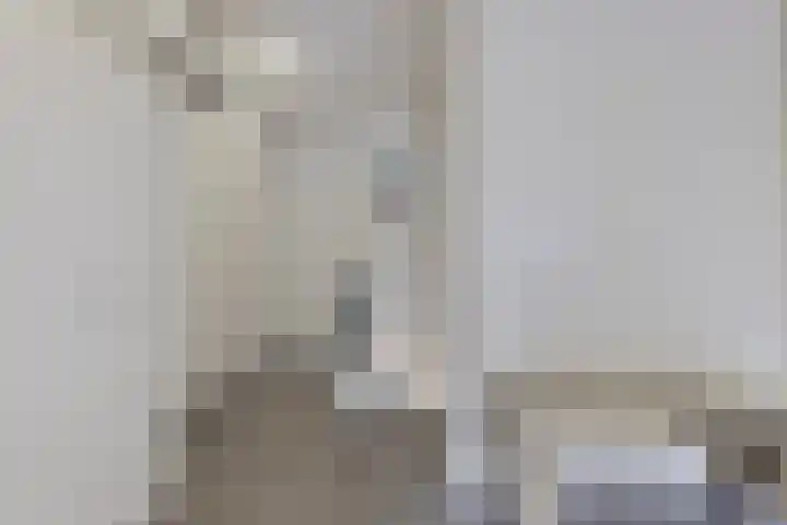 Moggendries 7 Eindhoven thumbnail 15