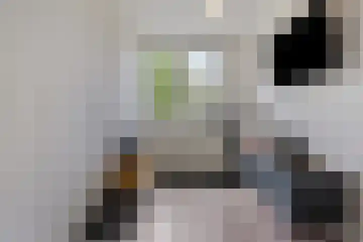 Moggendries 7 Eindhoven thumbnail 21