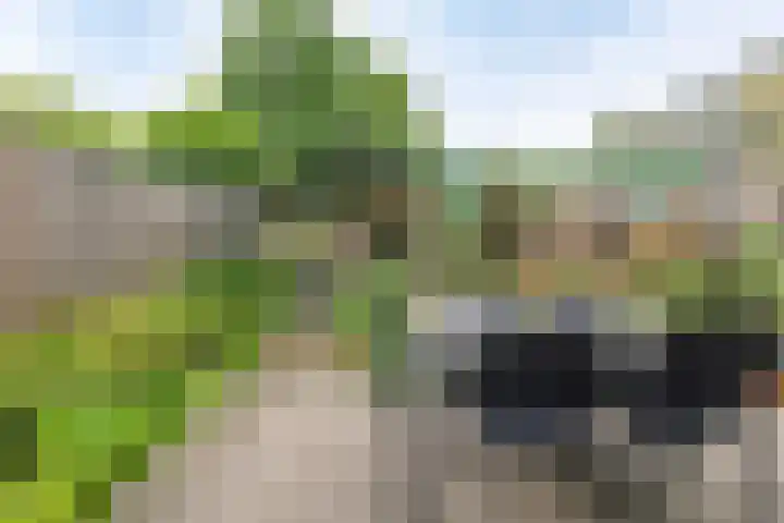 Moggendries 7 Eindhoven thumbnail 27