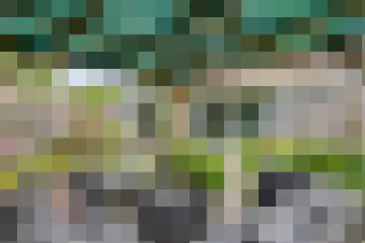Moggendries 7 Eindhoven thumbnail 29