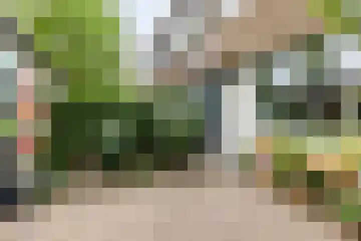 Moggendries 7 Eindhoven thumbnail 30