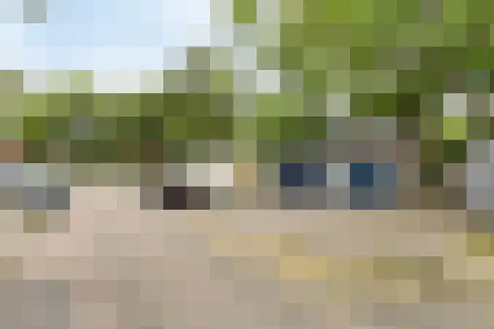 Moggendries 7 Eindhoven thumbnail 32