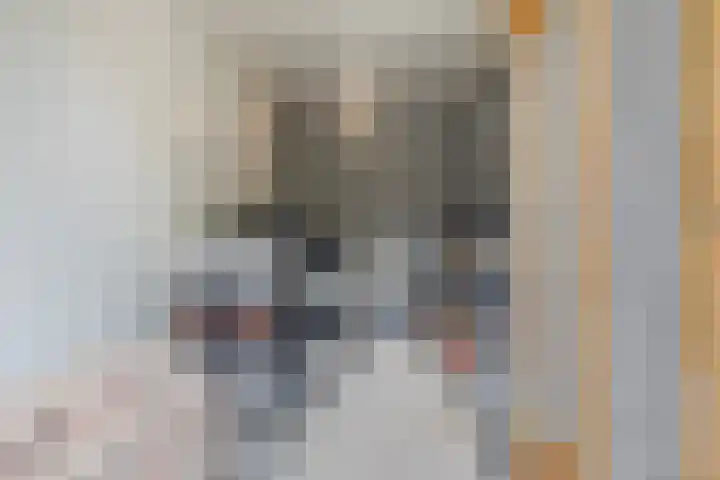 Moggendries 7 Eindhoven thumbnail 34