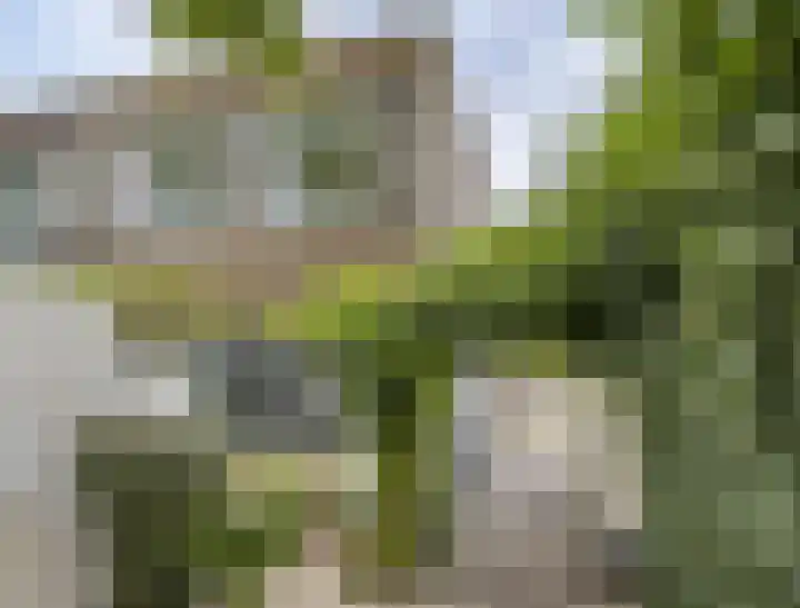 Moggendries 7 Eindhoven thumbnail 4