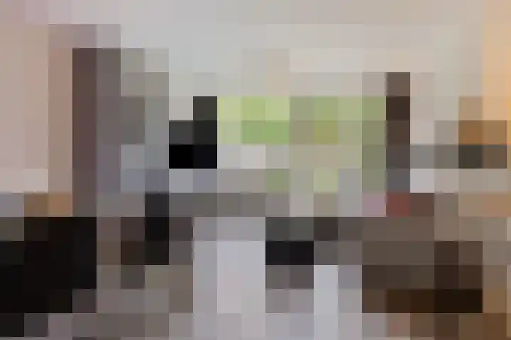 Moggendries 7 Eindhoven thumbnail 6