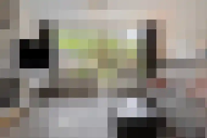 Moggendries 7 Eindhoven thumbnail 7