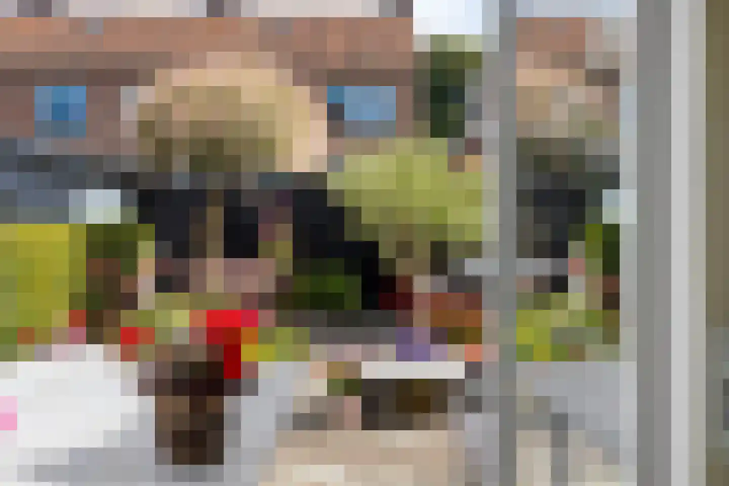 Moggestraat 16 Zierikzee thumbnail 14