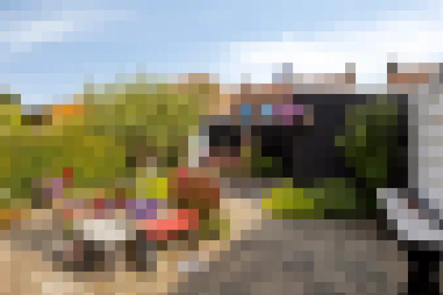 Moggestraat 16 Zierikzee thumbnail 31