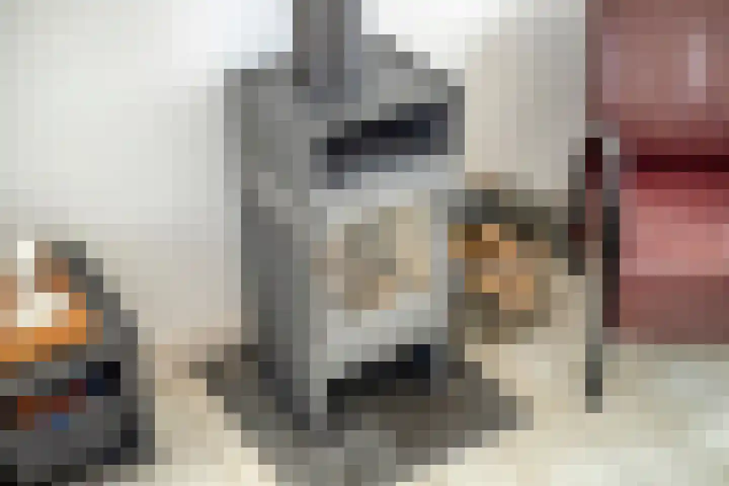 Moggestraat 16 Zierikzee thumbnail 6