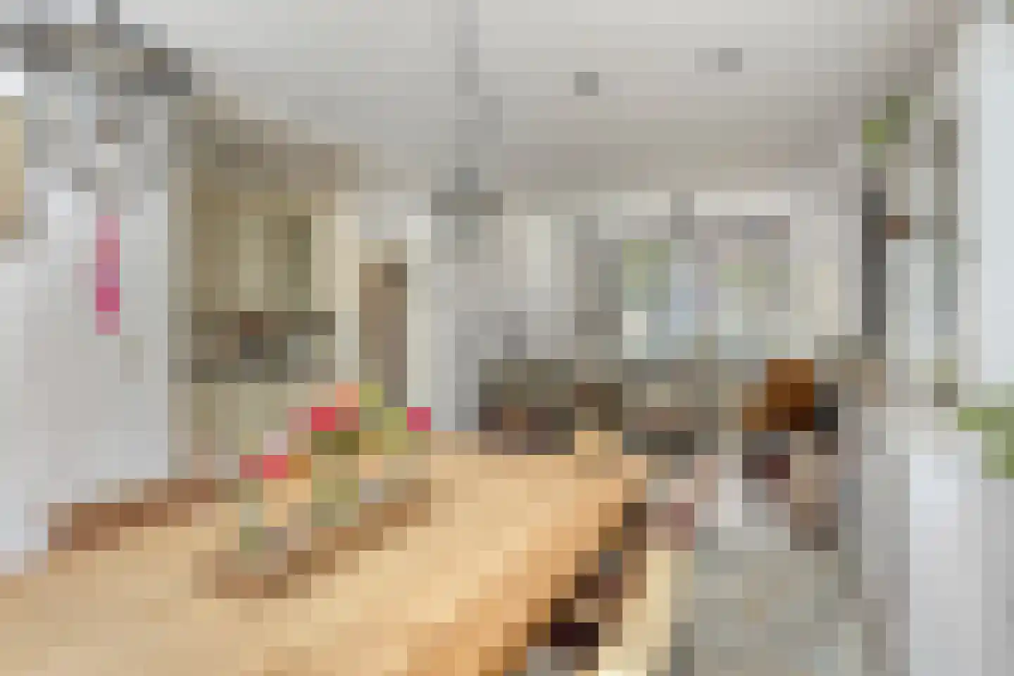 Moggestraat 16 Zierikzee thumbnail 9